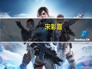 宋彩霞(关于宋彩霞简述)