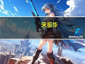 宋振华(关于宋振华简述)