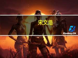 宋文浩(关于宋文浩简述)