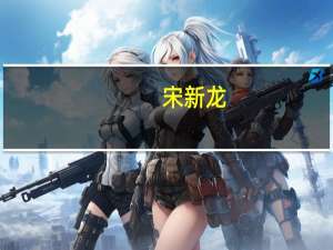 宋新龙(关于宋新龙简述)