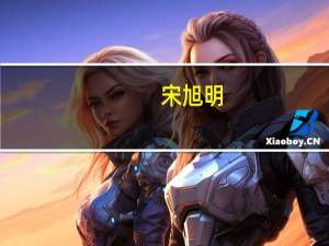 宋旭明(关于宋旭明简述)