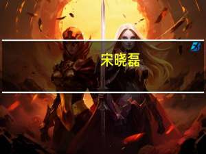 宋晓磊(关于宋晓磊简述)