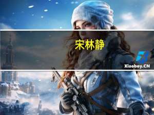 宋林静（关于宋林静的介绍）