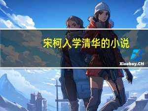 宋柯入学清华的小说（宋柯）