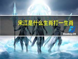 宋江是什么生肖打一生肖（宋江打一生肖）