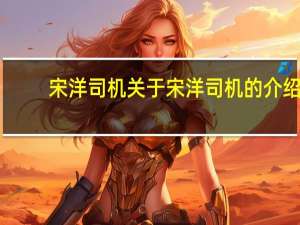 宋洋司机 关于宋洋司机的介绍