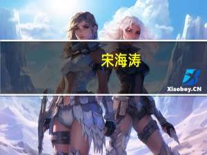 宋海涛(关于宋海涛简述)