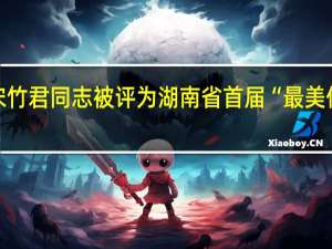 宋竹君同志被评为湖南省首届“最美仲裁员”