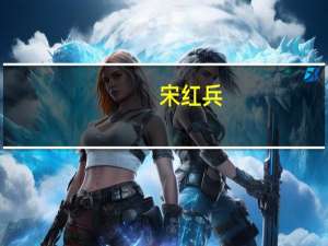 宋红兵(关于宋红兵简述)