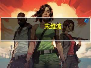 宋维波(关于宋维波简述)