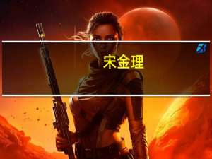 宋金理(关于宋金理简述)