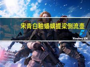 宋青白釉蟠螭提梁倒流壶(关于宋青白釉蟠螭提梁倒流壶简述)