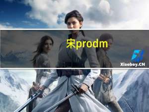宋pro dm-i（son）