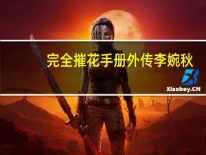 完全摧花手册外传李婉秋（完全摧花手册完整版）