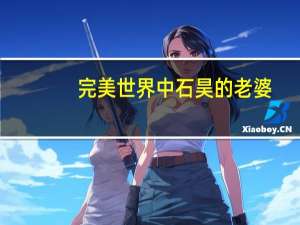 完美世界中石昊的老婆