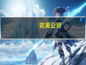 完美公司（关于完美公司的介绍）