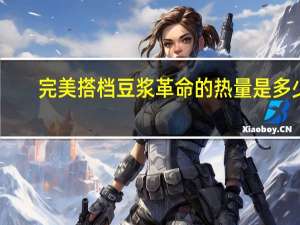 完美搭档 豆浆革命的热量是多少