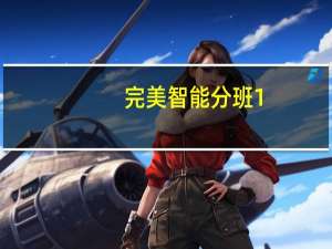 完美智能分班 1.0 简体中文绿色免费版（完美智能分班 1.0 简体中文绿色免费版功能简介）