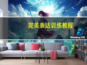 完美表达训练教程(关于完美表达训练教程简述)