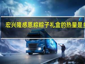 宏兴隆 感恩粽 粽子礼盒的热量是多少