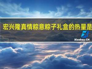 宏兴隆 真情粽意 粽子礼盒的热量是多少