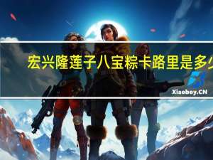 宏兴隆 莲子八宝粽卡路里是多少