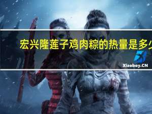 宏兴隆 莲子鸡肉粽的热量是多少