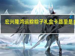 宏兴隆 鸿运粽 粽子礼盒卡路里是多少
