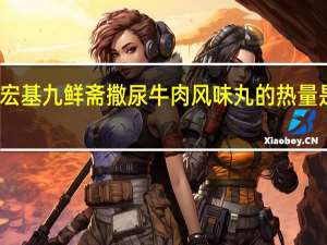 宏基 九鲜斋 撒尿牛肉风味丸的热量是多少