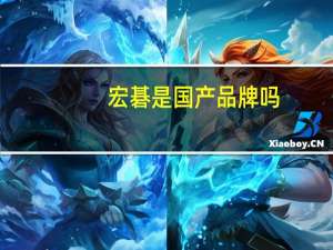 宏碁是国产品牌吗