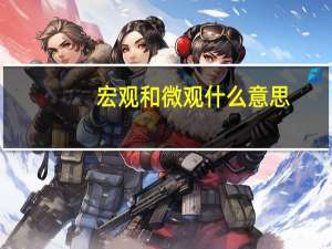 宏观和微观什么意思