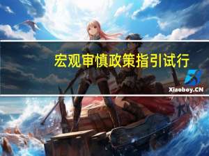 宏观审慎政策指引 试行(关于宏观审慎政策指引 试行简述)