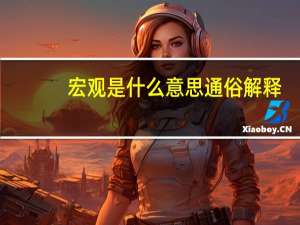 宏观是什么意思通俗解释（宏观是什么意思）