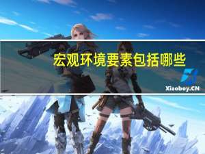 宏观环境要素包括哪些