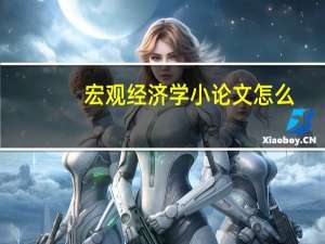 宏观经济学小论文怎么