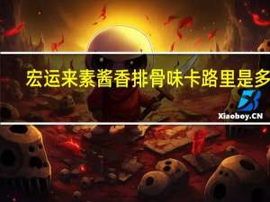 宏运来 素酱香排骨味卡路里是多少