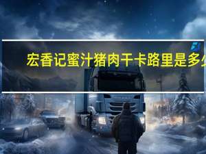 宏香记蜜汁猪肉干卡路里是多少