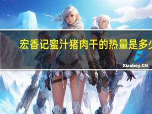 宏香记蜜汁猪肉干的热量是多少