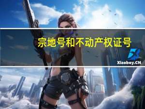 宗地号和不动产权证号（宗地号）