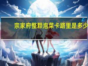 宗家府 整颗泡菜卡路里是多少