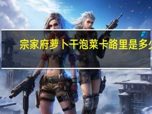 宗家府 萝卜干泡菜卡路里是多少