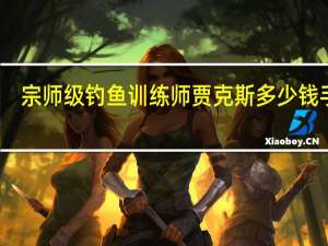 宗师级钓鱼训练师贾克斯多少钱手游（宗师级钓鱼训练师 贾克斯）