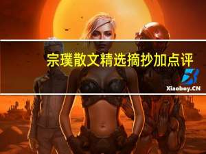 宗璞散文精选摘抄加点评