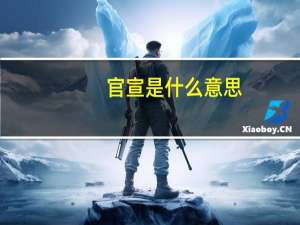 官宣是什么意思