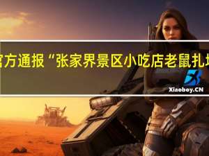 官方通报“张家界景区小吃店老鼠扎堆乱窜”：属实涉事鸡排加盟店已被查封