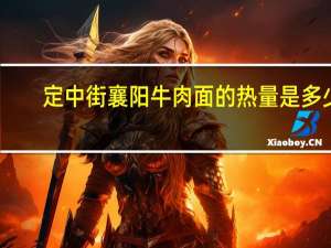 定中街 襄阳牛肉面的热量是多少