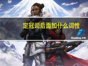 定冠词后面加什么词性