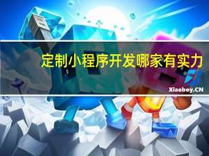 定制小程序开发哪家有实力