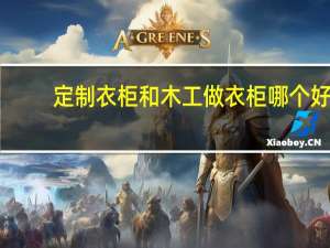 定制衣柜和木工做衣柜哪个好