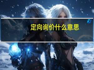 定向询价什么意思